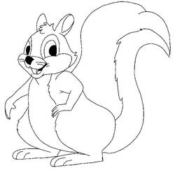 Coloring page: Squirrel (Animals) #6275 - Free Printable Coloring Pages