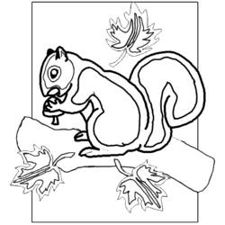 Coloring page: Squirrel (Animals) #6278 - Free Printable Coloring Pages