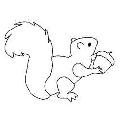 Coloring page: Squirrel (Animals) #6281 - Printable coloring pages
