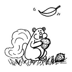 Coloring page: Squirrel (Animals) #6284 - Free Printable Coloring Pages