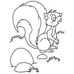 Coloring page: Squirrel (Animals) #6294 - Free Printable Coloring Pages