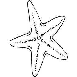Starfish (Animals) coloring page #187139 to print and color