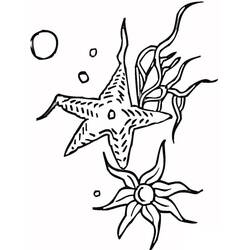 Starfish (Animals) coloring page #187147 to print and color