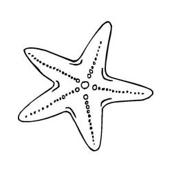 Starfish (Animals) coloring page #187161 to print and color