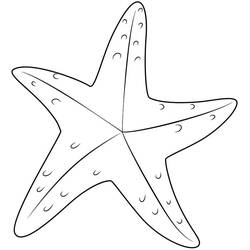 Starfish (Animals) coloring page #187171 to print and color