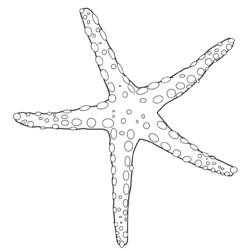 Coloring page: Starfish (Animals) #6703 - Printable coloring pages