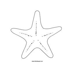 Coloring pages: Starfish - Printable coloring pages