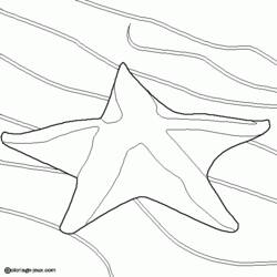 Coloring page: Starfish (Animals) #6715 - Printable coloring pages