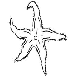 Coloring page: Starfish (Animals) #6716 - Printable coloring pages
