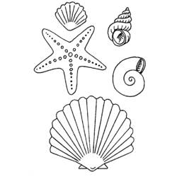 Coloring page: Starfish (Animals) #6794 - Printable coloring pages