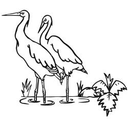 Stork (Animals) coloring page #185250 to print and color