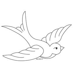 Coloring pages: Swallow - Free Printable Coloring Pages