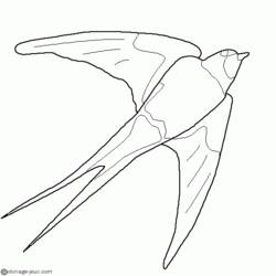 Coloring page: Swallow (Animals) #8815 - Printable coloring pages