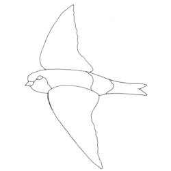Coloring page: Swallow (Animals) #8824 - Printable coloring pages