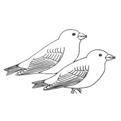 Coloring page: Swallow (Animals) #8827 - Printable coloring pages