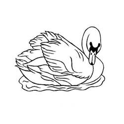 Coloring page: Swan (Animals) #4993 - Printable coloring pages