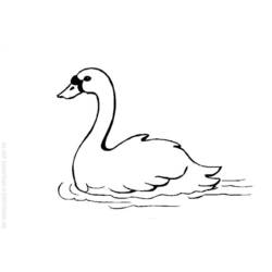 Coloring page: Swan (Animals) #4995 - Printable coloring pages
