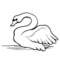 Coloring page: Swan (Animals) #5002 - Printable coloring pages