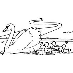 Coloring pages: Swan - Printable coloring pages