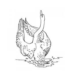 Coloring page: Swan (Animals) #5015 - Printable coloring pages