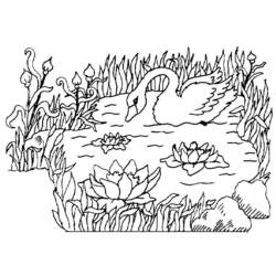 Coloring page: Swan (Animals) #5019 - Printable coloring pages