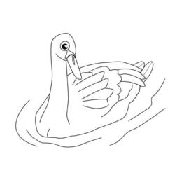 Coloring page: Swan (Animals) #5029 - Printable coloring pages