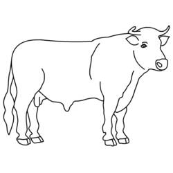 Coloring page: Taurus (Animals) #13789 - Printable coloring pages