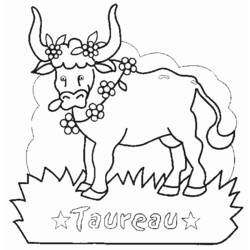 Coloring page: Taurus (Animals) #13839 - Free Printable Coloring Pages