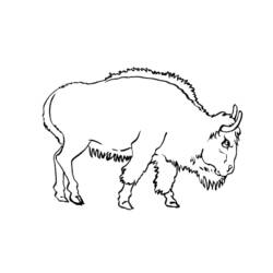 Coloring page: Taurus (Animals) #13855 - Printable coloring pages