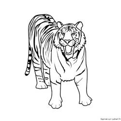 Coloring page: Tiger (Animals) #13595 - Free Printable Coloring Pages