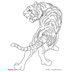 Coloring page: Tiger (Animals) #13600 - Printable coloring pages