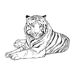 Coloring page: Tiger (Animals) #13601 - Printable coloring pages