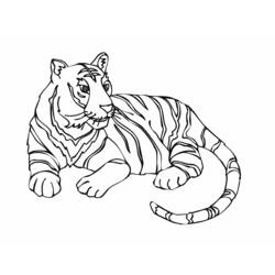Coloring pages: Tiger - Printable Coloring Pages
