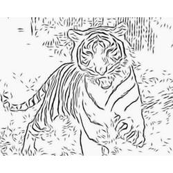 Coloring page: Tiger (Animals) #13606 - Free Printable Coloring Pages