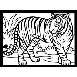 Coloring page: Tiger (Animals) #13615 - Printable coloring pages
