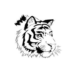 Coloring page: Tiger (Animals) #13631 - Free Printable Coloring Pages