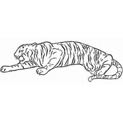Coloring page: Tiger (Animals) #13637 - Free Printable Coloring Pages