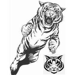 Coloring page: Tiger (Animals) #13672 - Printable coloring pages