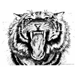 Coloring page: Tiger (Animals) #13679 - Printable coloring pages