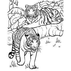 Coloring page: Tiger (Animals) #13726 - Printable coloring pages