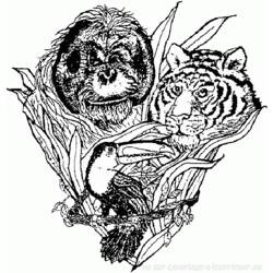 Coloring page: Tiger (Animals) #13756 - Free Printable Coloring Pages