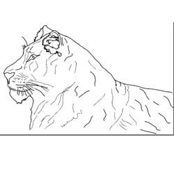 Coloring page: Tiger (Animals) #13758 - Free Printable Coloring Pages