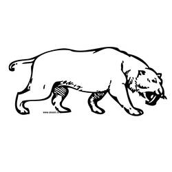 Coloring page: Tiger (Animals) #13759 - Free Printable Coloring Pages