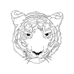 Coloring page: Tiger (Animals) #13771 - Free Printable Coloring Pages