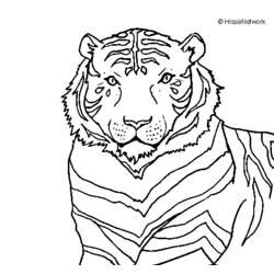 Coloring page: Tiger (Animals) #13772 - Free Printable Coloring Pages