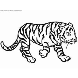 Coloring page: Tiger (Animals) #13781 - Free Printable Coloring Pages