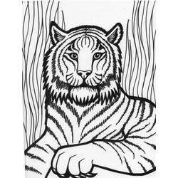 Tiger (Animals) coloring page #174906 to print and color