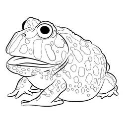 Toad (Animals) coloring page #218473 to print and color