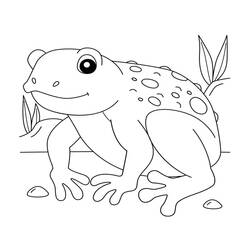 Toad (Animals) coloring page #218475 to print and color