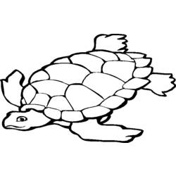 Coloring page: Tortoise (Animals) #13396 - Printable coloring pages